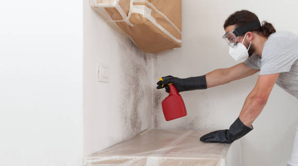 Professional Basement Mold Remediation technician working in Riverdale, GA