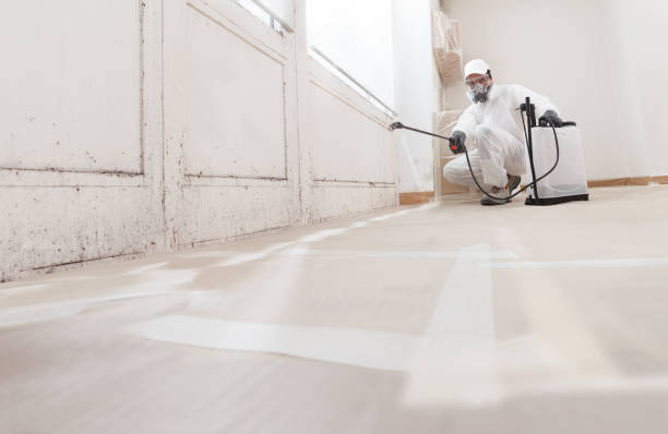 24/7 Emergency Basement Mold Remediation experts in Riverdale, GA
